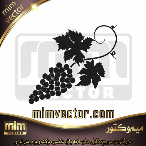 وکتور انگور