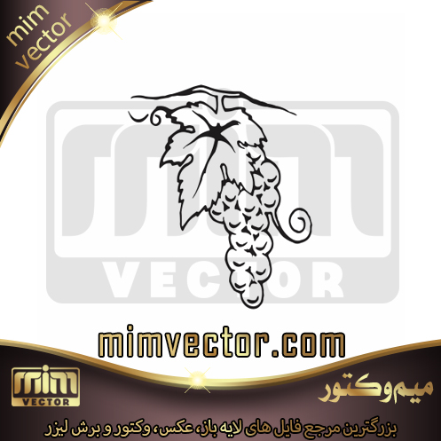 وکتور انگور