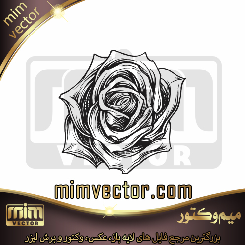 وکتور گل رز