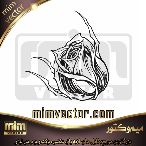 وکتور گل رز