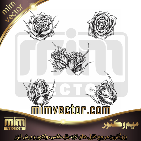 وکتور گل رز