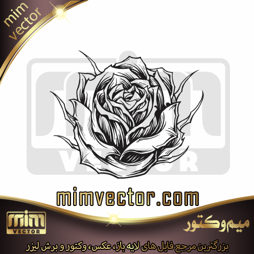 وکتور گل رز