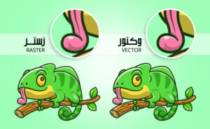 وکتور و راستر