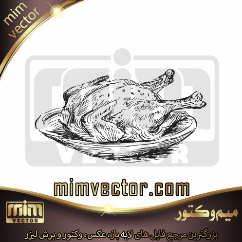 وکتور مرغ پخته