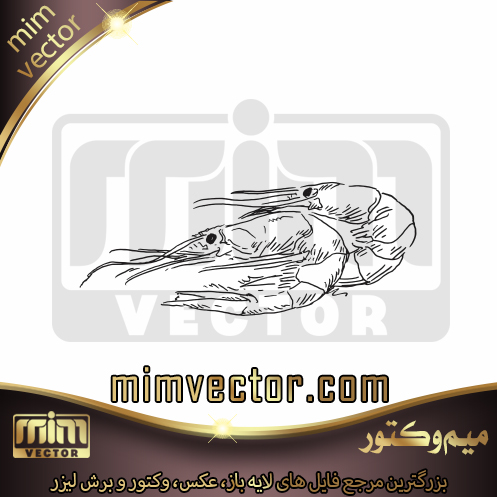 وکتور خرچنگ پخته