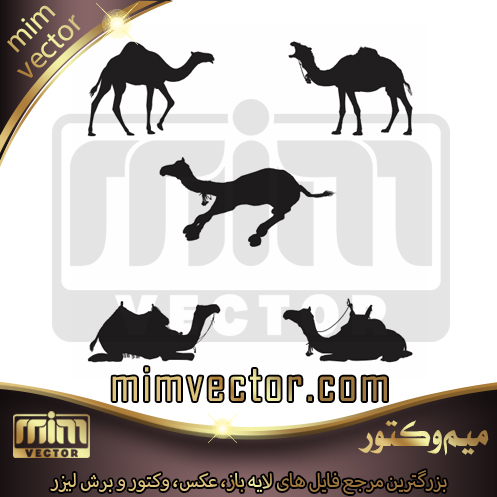 وکتور شتر