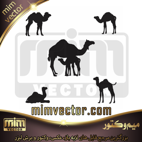وکتور شتر
