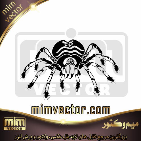 وکتور عنکبوت