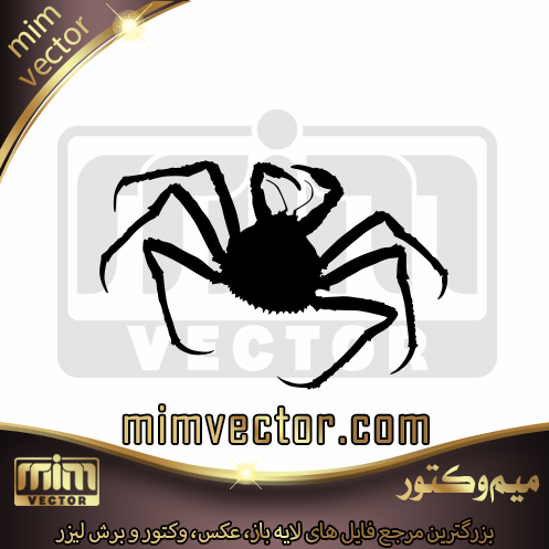 وکتور عنکبوت