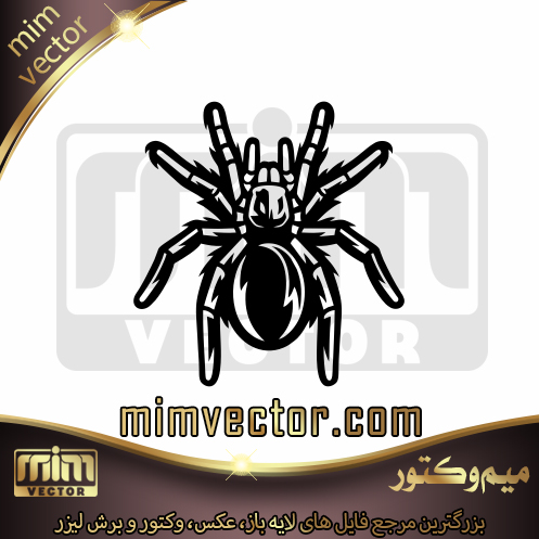 وکتور عنکبوت